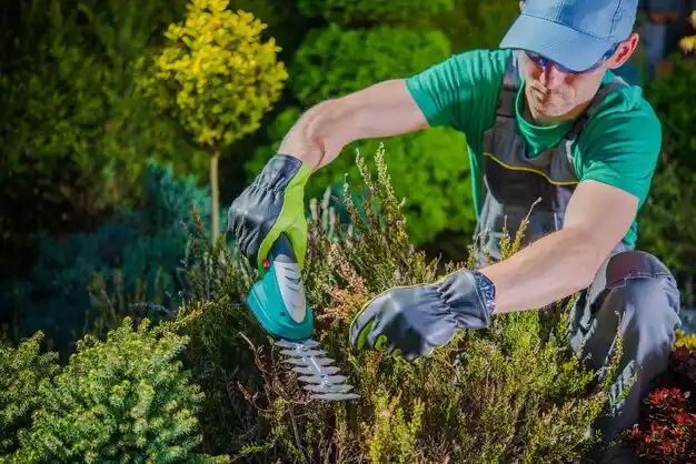 landscaping services Maybrook